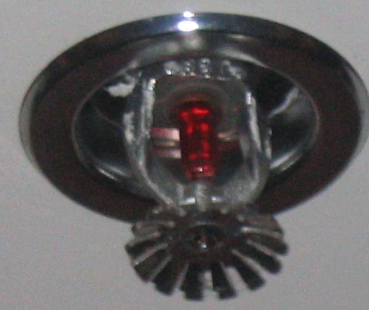 Fire Sprinkler Cleanup in Richmond, VA